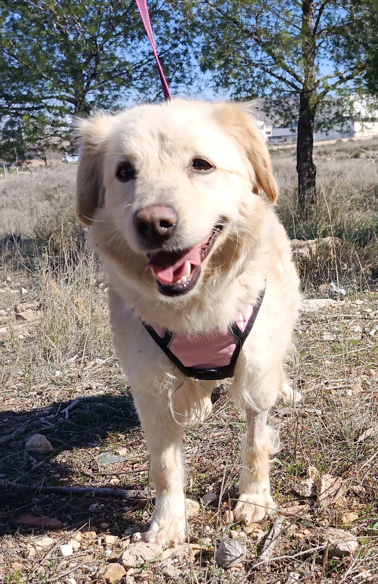 WhatsApp Image 2026-02-24 at 17.02.43 (3)