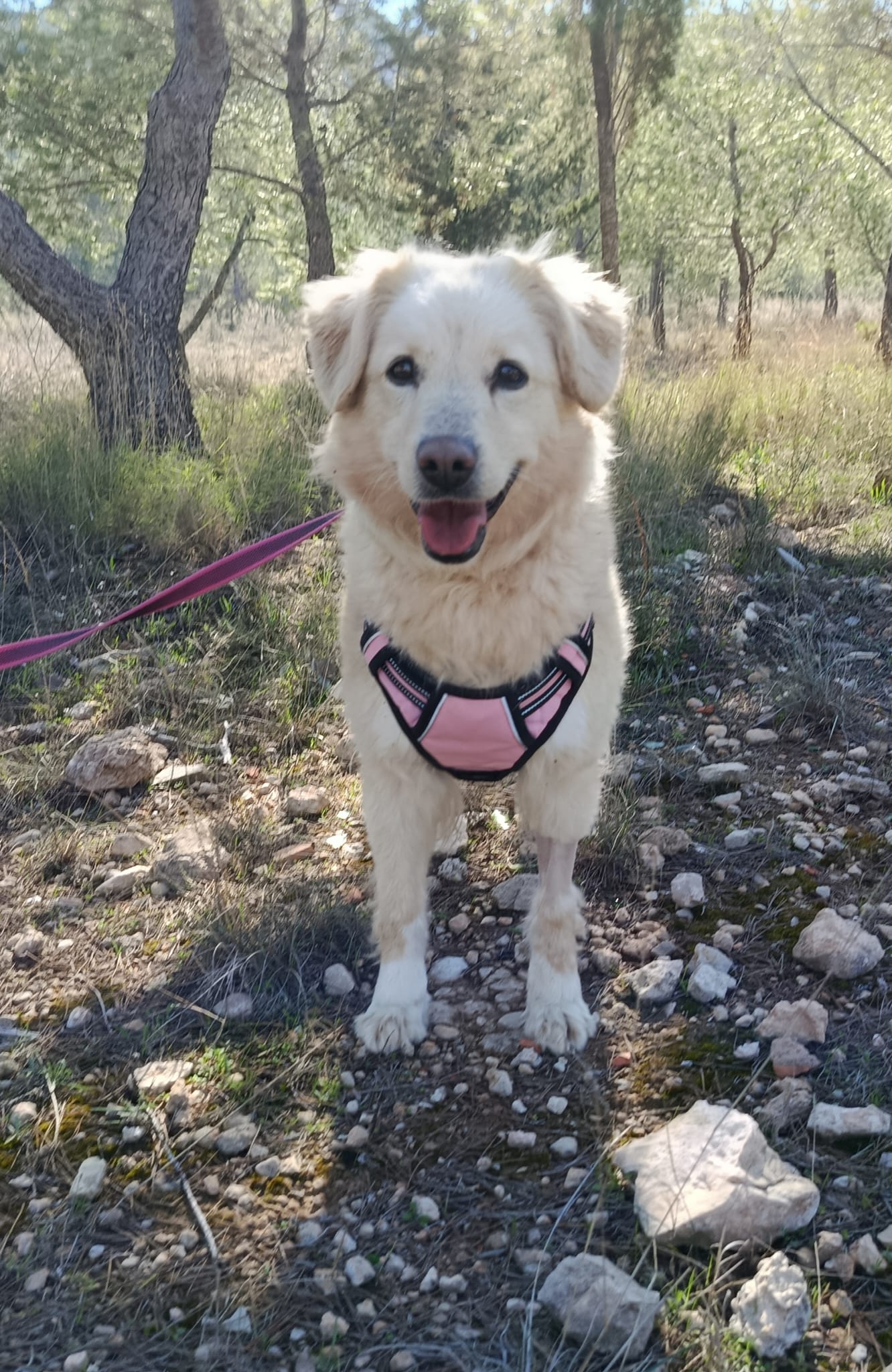 WhatsApp Image 2026-02-24 at 17.02.43