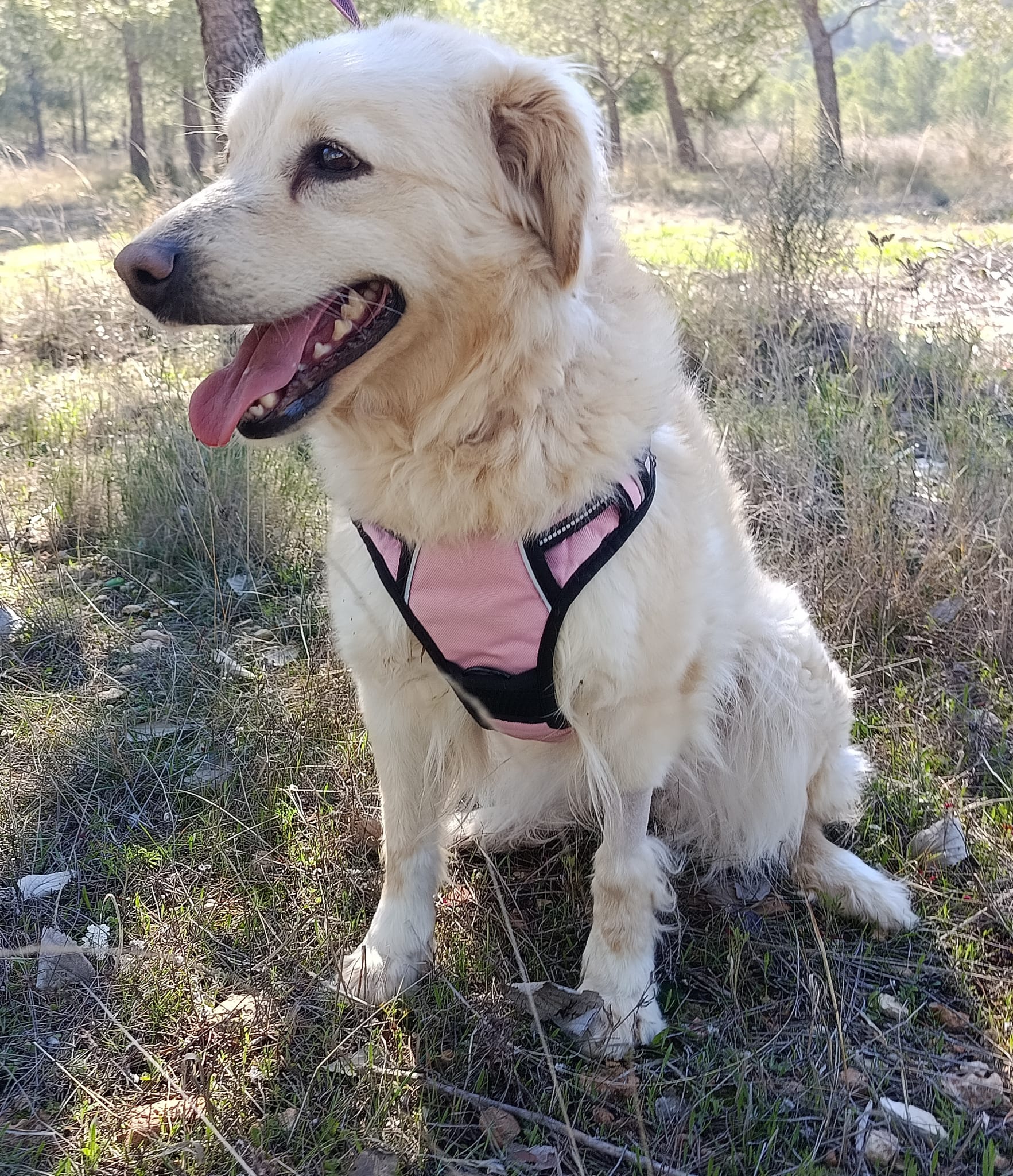 WhatsApp Image 2026-02-24 at 17.02.44 (2)